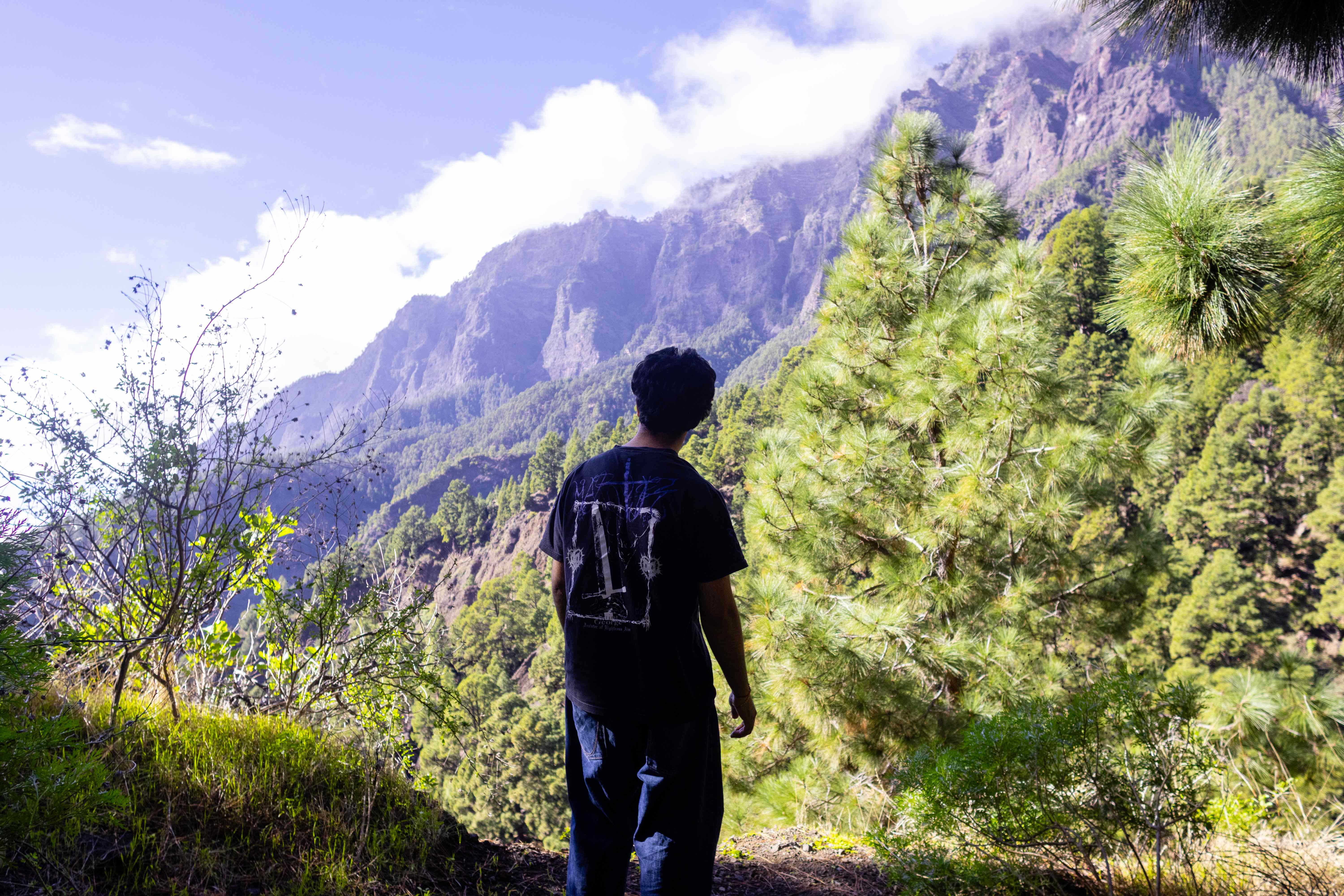 Person from behind looking up at a dramatic volcanic mountain with pine trees and low clouds
